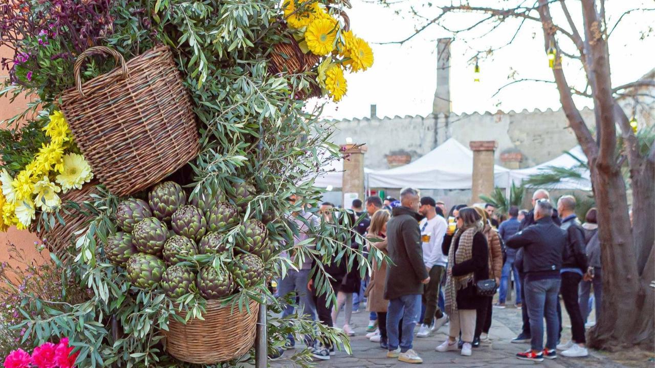 Il carciofo violetto protagonista a Samassi