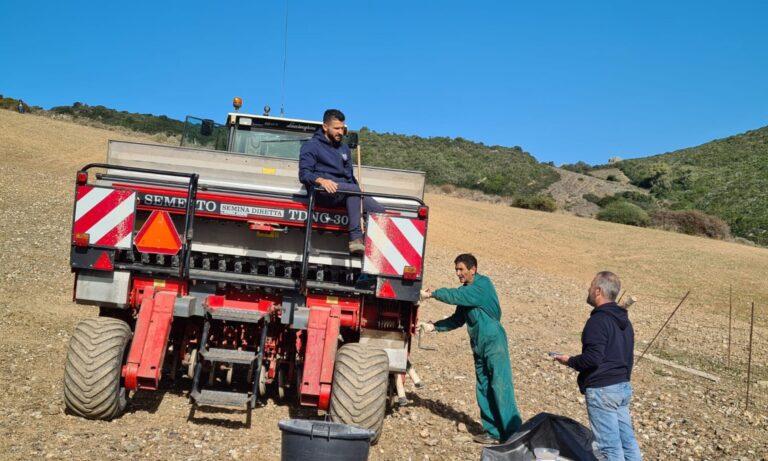 Sassari, il Cnr affianca gli allevatori per migliorare la qualità di latte e formaggio