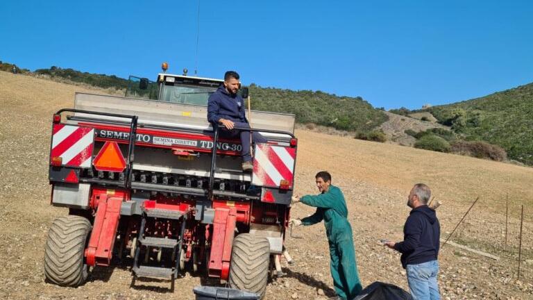 Sassari, il Cnr affianca gli allevatori per migliorare la qualità di latte e formaggio