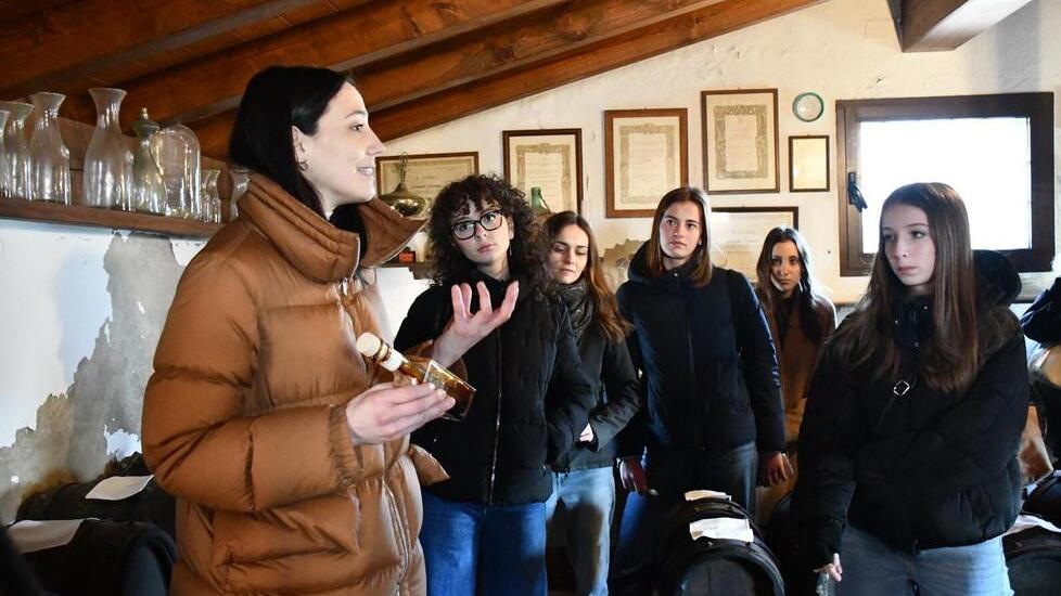 Oro nero a Magreta dal 1800: questa è l’Acetaia Leonardi