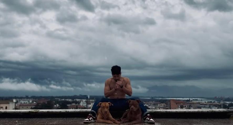 
	Foto profilo Instagram (@<a href="https://www.instagram.com/dytorz/#">dytorz</a>)

