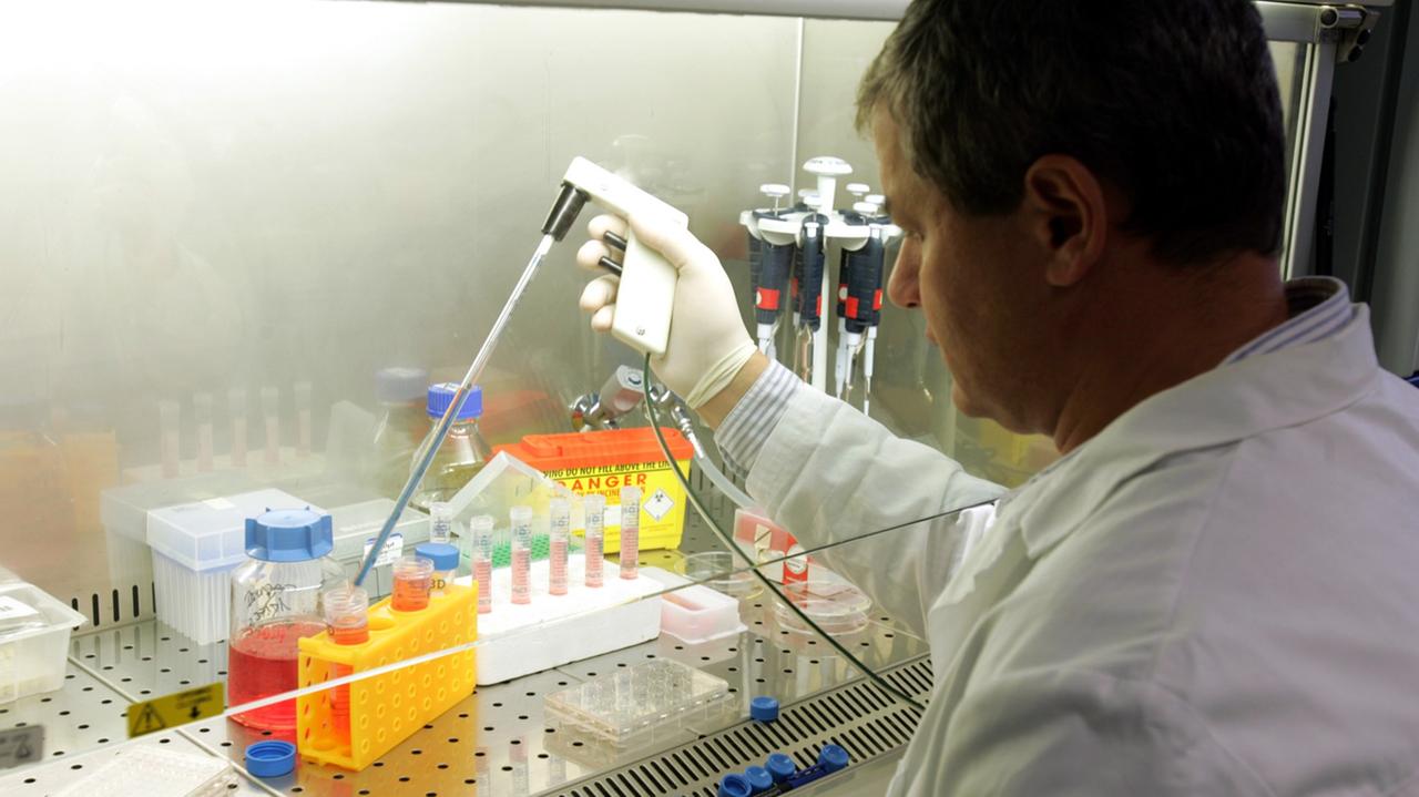 Scabbia, tubercolosi e infezioni tropicali: rispuntano virus e malattie dimenticate