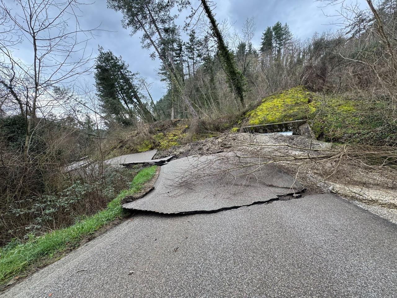 
	Una strada ko nel Mugello


