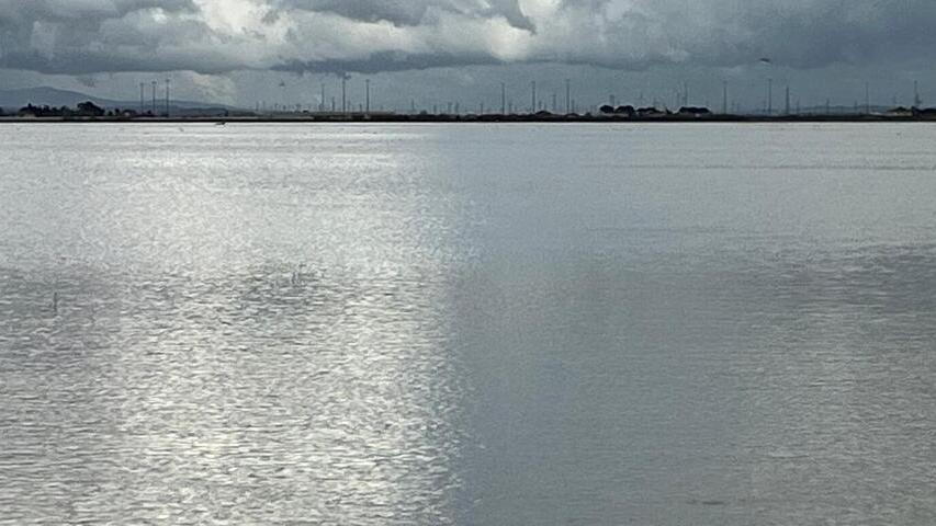 I campi coltivati sul territorio di Collesalvetti invasi dall’acqua
