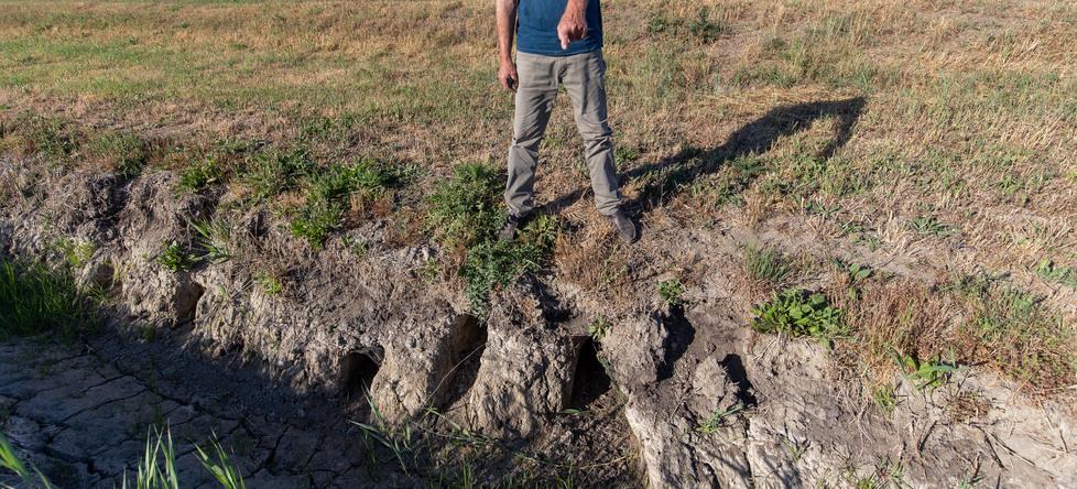 Caccia alle nutrie in provincia di Ferrara, coadiutori minacciati di morte