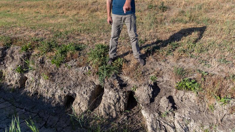 Caccia alle nutrie in provincia di Ferrara, coadiutori minacciati di morte