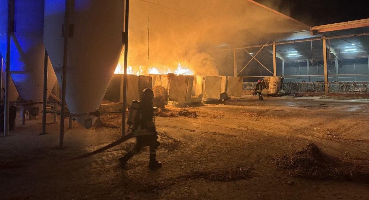 
	L'incendio nell'azienda agricola di Portile

