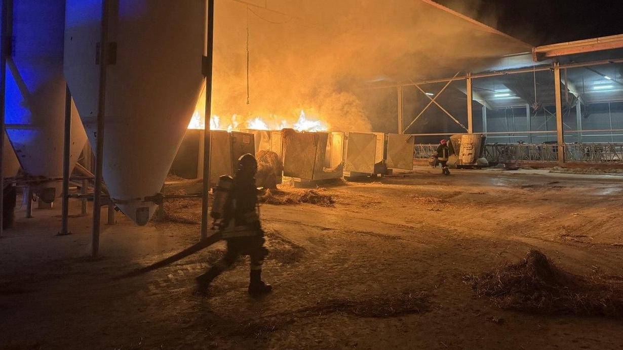 L'incendio nell'azienda agricola di Portile