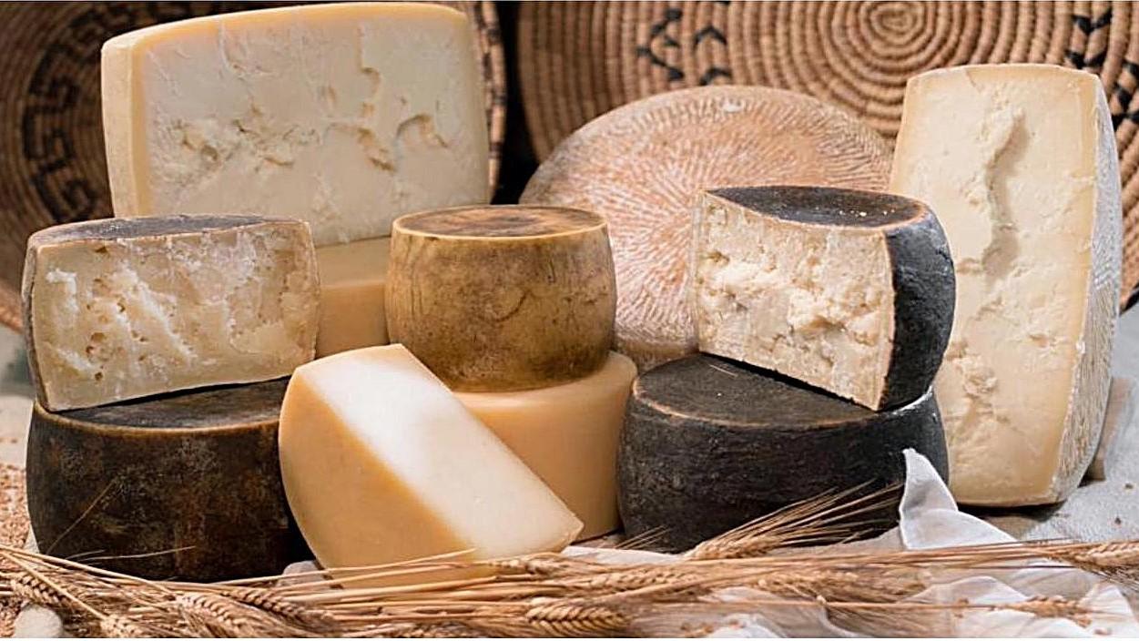 Italian cheese awards 2025, anche 9 formaggi sardi nella top 100: ecco quali sono