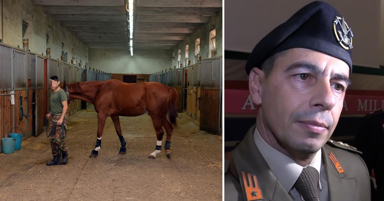 Le scuderie dell'Accademia e il colonnello Cati