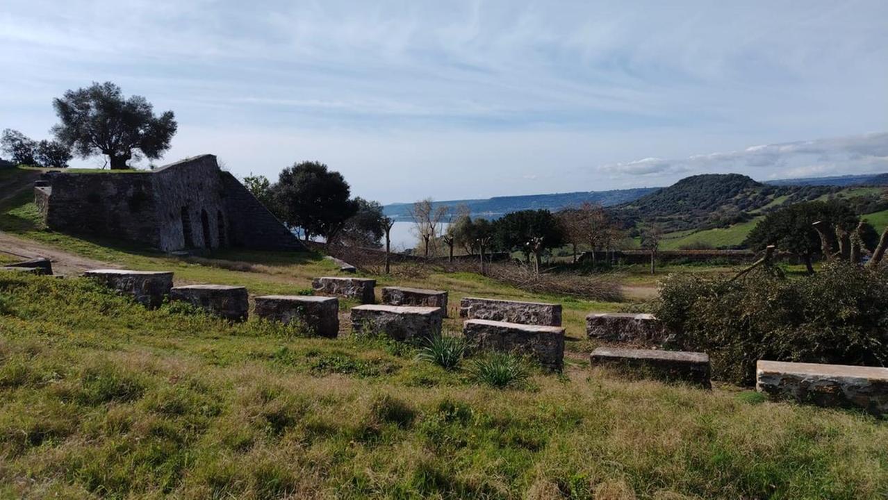 Sedilo, le potature a San Costantino