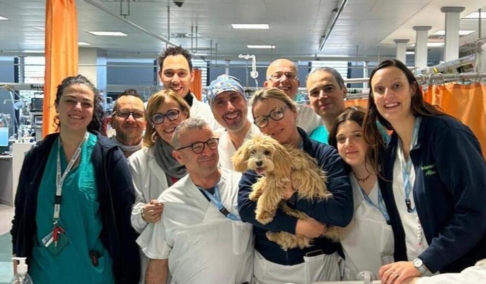 Un cane autorizzato a entrare all’ospedale Santo Stefano di Prato per fare visita alla sua proprietaria ricoverata