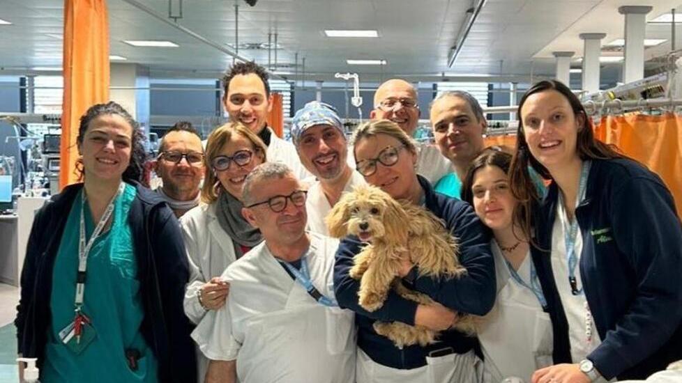 Un cane autorizzato a entrare all’ospedale Santo Stefano di Prato per fare visita alla sua proprietaria ricoverata