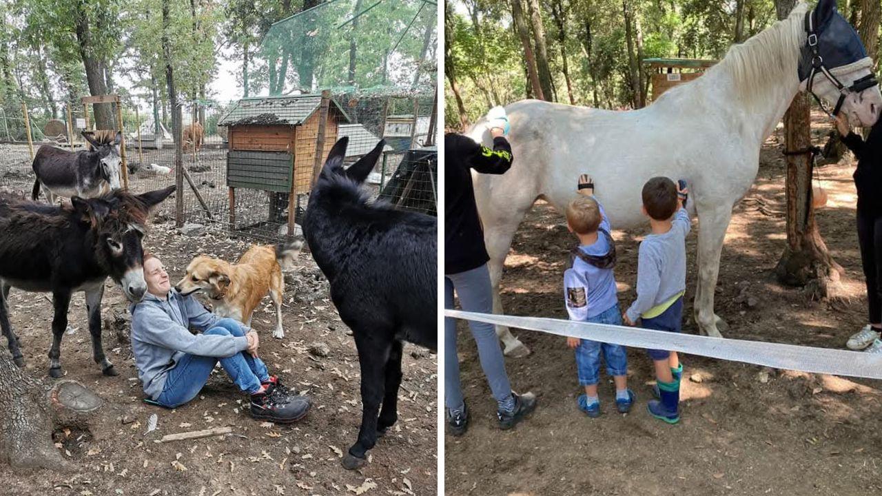 In Toscana la “città anti-stress” nel bosco: qui si vive immersi tra gli animali dimenticando i problemi