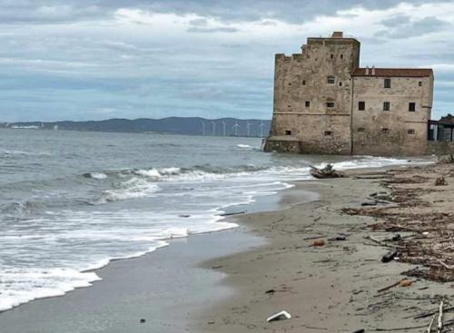 
	La spiaggia di Torre Mozza

