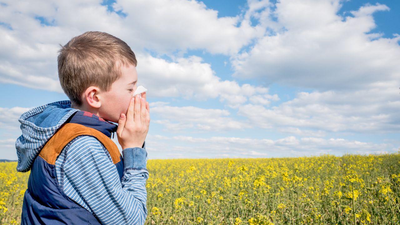 
	Allergie in aumento col cambiamento climatico

