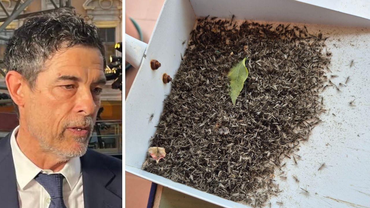 Alessandro Gassman e una cassetta piena di moscerini