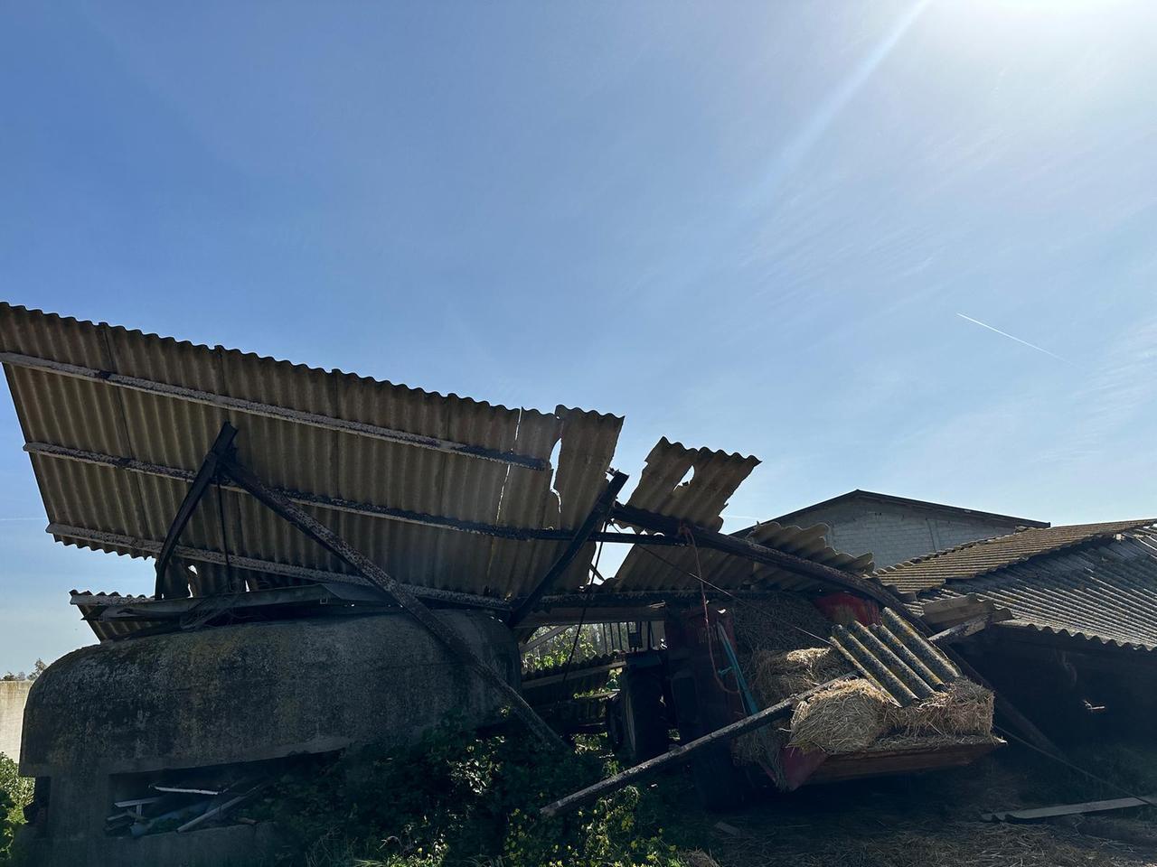 Crolla il tetto di un capannone agricolo, tragedia sfiorata