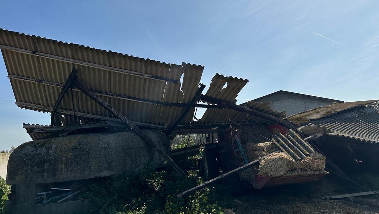 Crolla il tetto di un capannone agricolo, tragedia sfiorata