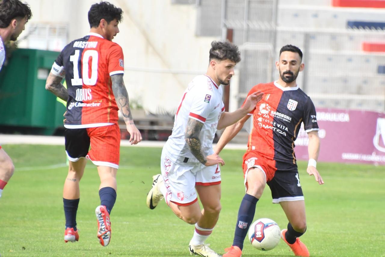 
	Idda e Mastinu in azione (foto Mauro Chessa)

