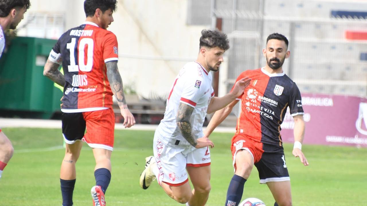 Idda e Mastinu in azione (foto Mauro Chessa)