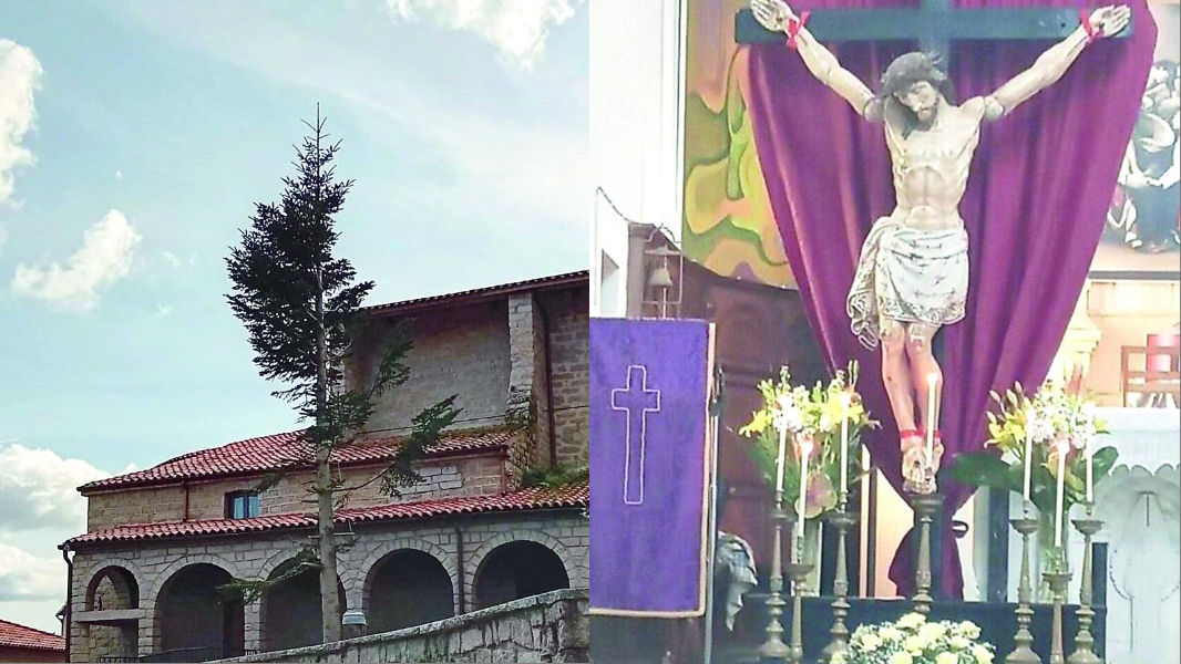 Il parroco taglia gli alberi davanti alla chiesa, i fedeli sono in rivolta: timori per la Settimana santa 