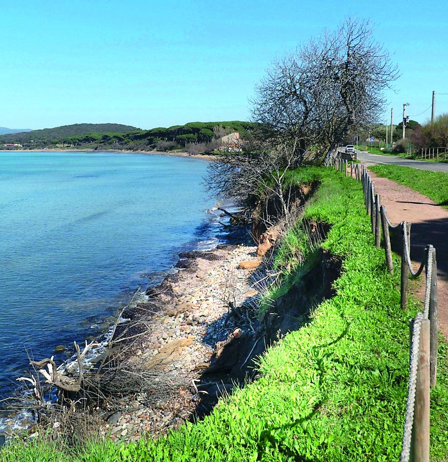 
	Il tratto del golfo di Baratti dove si &egrave; verificato l&rsquo;ultimo cedimento della ripa (foto Lorenzo Manzini)

