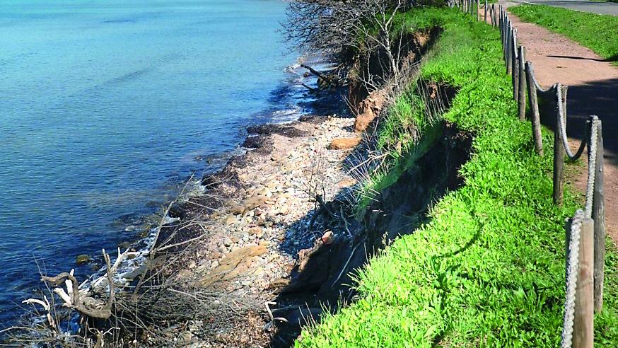 Il tratto del golfo di Baratti dove si è verificato l’ultimo cedimento della ripa (foto Lorenzo Manzini)