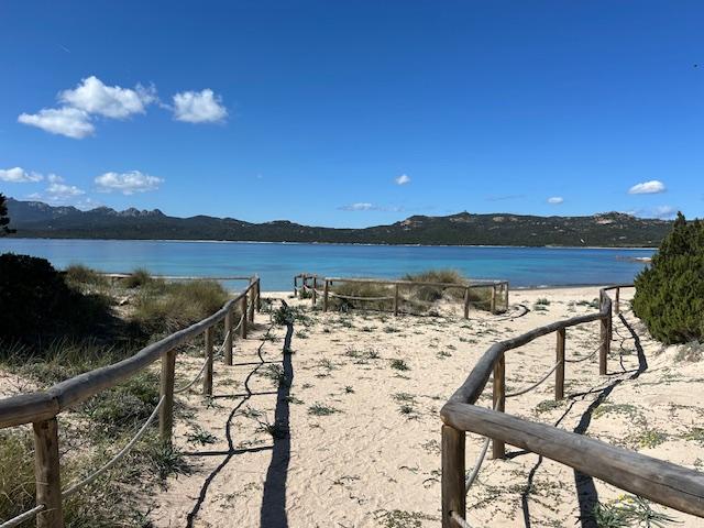 
	Le delimitazioni salva dune a Capriccioli

