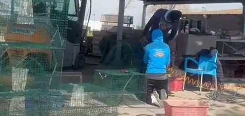 Porto Garibaldi, per le vongole dalle reti alle gabbie. Gli allevatori si preparano<br type="_moz" />
