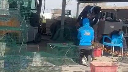 Porto Garibaldi, per le vongole dalle reti alle gabbie. Gli allevatori si preparano<br type="_moz" />