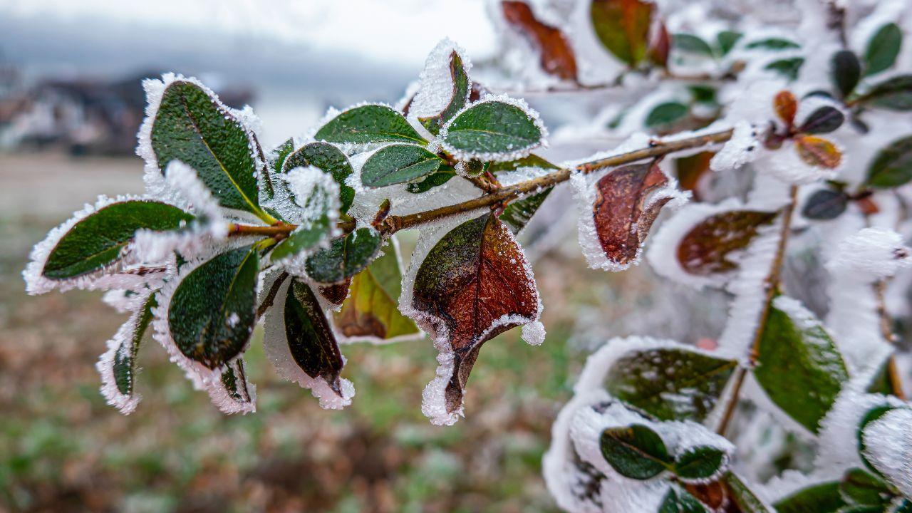 
	In Toscana potrebbe tornare l'inverno all'improvviso

