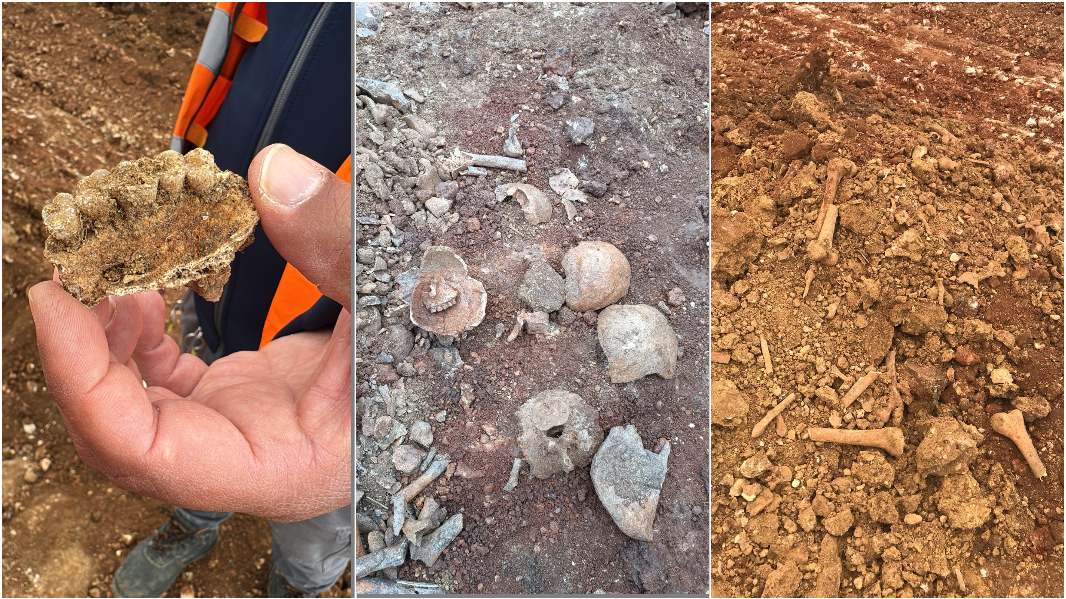 Trovate ossa umane durante i lavori per un impianto fotovoltaico