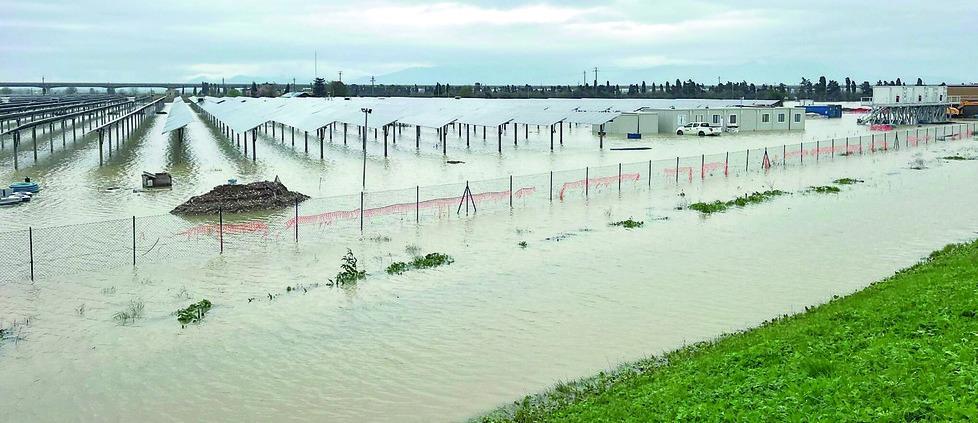 Alluvione in Toscana, alleanza degli agricoltori di Pisa e Livorno: «Campagne allagate, la Regione paghi»