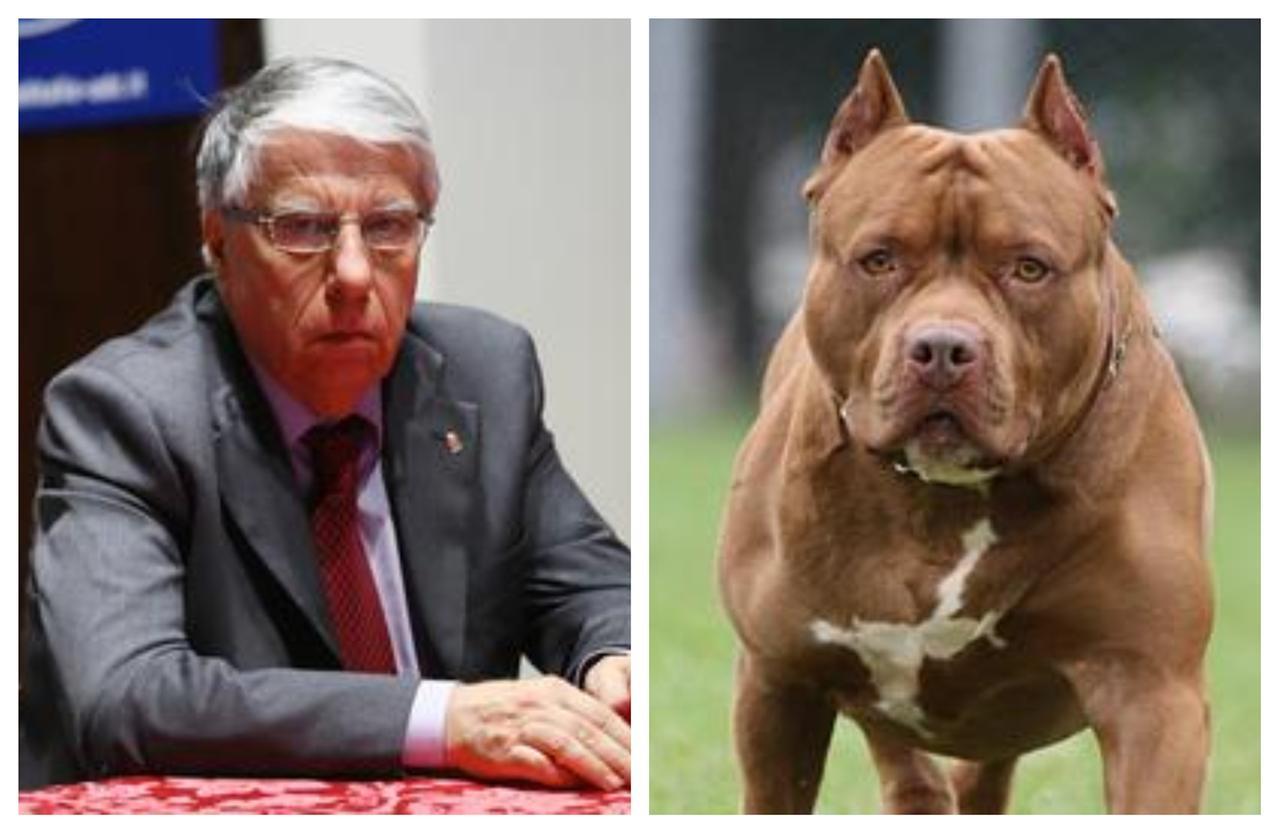 
	A sinistra l'ex senatore Carlo Giovanardi, a destra un esemplare di cane

