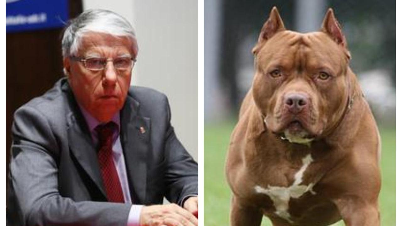 A sinistra l'ex senatore Carlo Giovanardi, a destra un esemplare di cane