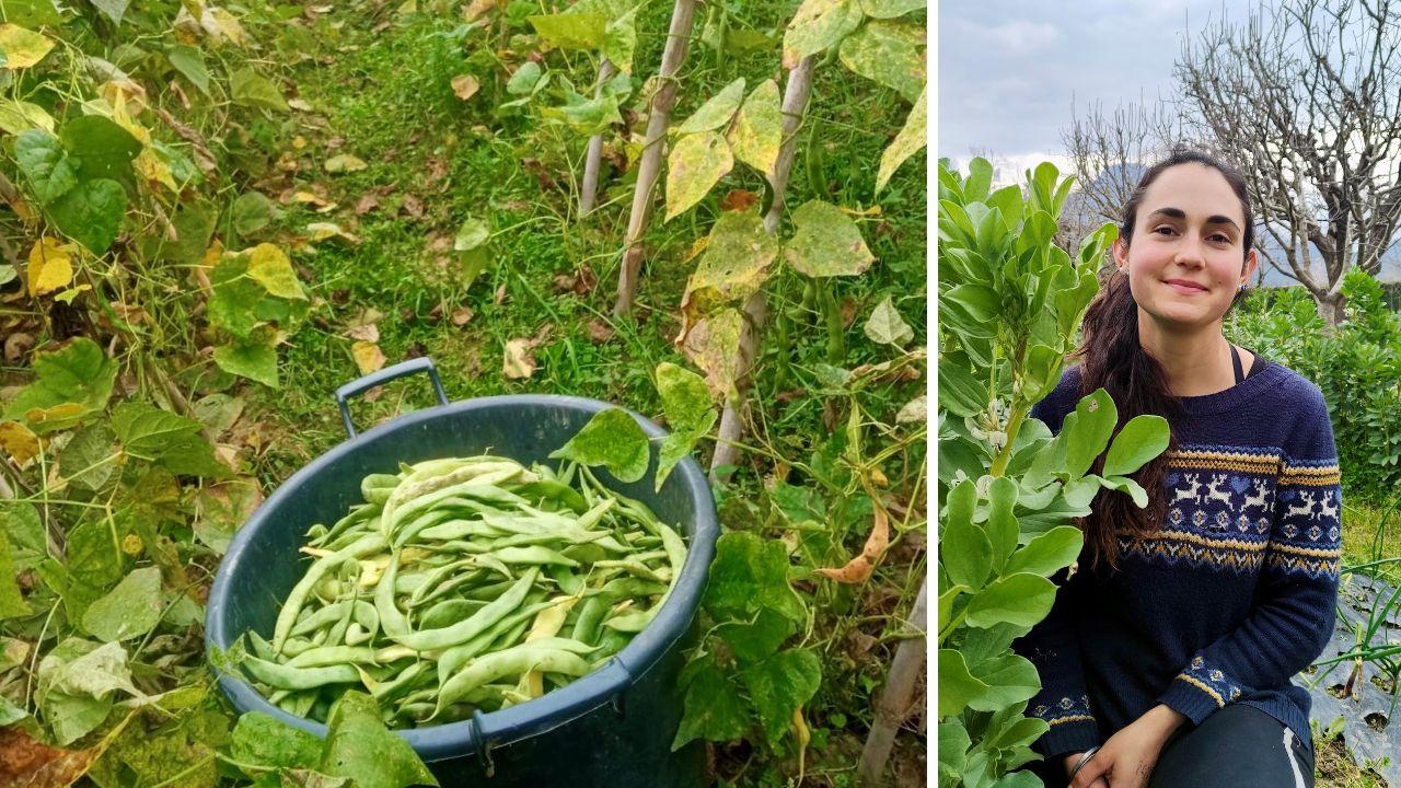 I fagioli schiaccioni che la giovane imprenditrice Amapola Moriconi, classe 1997, ha scelto di recuperare dall’oblio