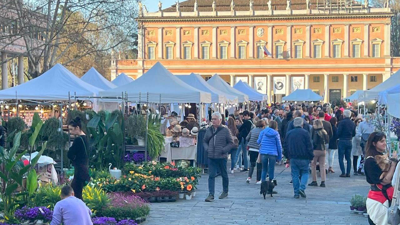 Per Reggio in fiore il centro storico si riempie di colori. Ecco il programma
