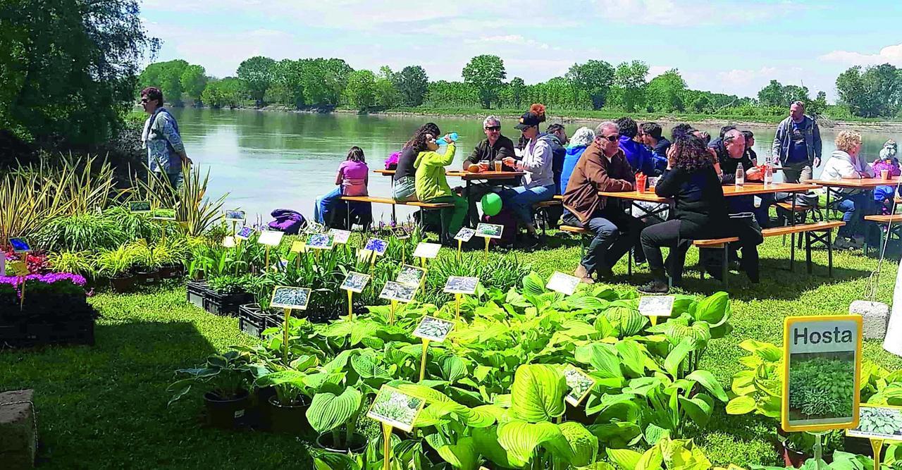 Georgica ritorna e si allarga sulle rive del Grande Fiume
