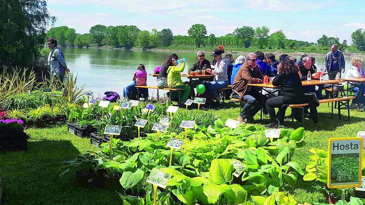 Georgica ritorna e si allarga sulle rive del Grande Fiume