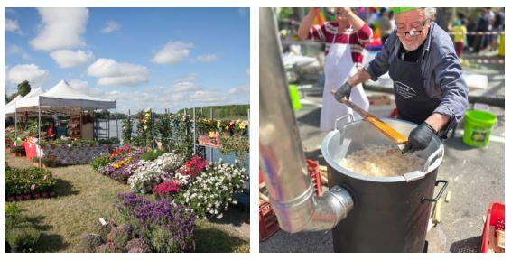 Cinque cose da fare nel week end tra Reggio Emilia e provincia