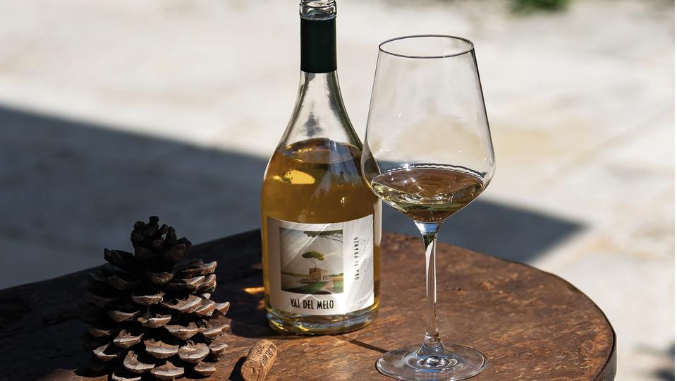 Dalla maremma per amore di un vino che sa di mare