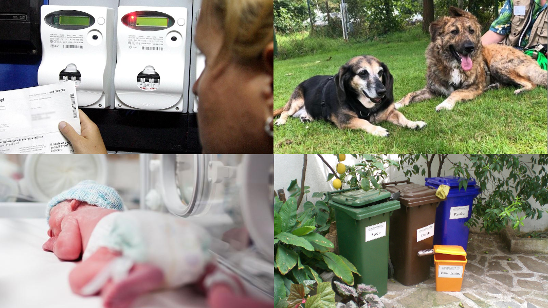 Bollette, bebè, tributi, animali: ecco tutti i bonus a disposizione e come ottenerli