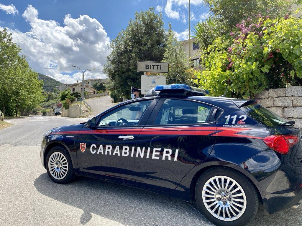 Allevamenti di pecore Igp fuori norma: sanzionate diverse aziende