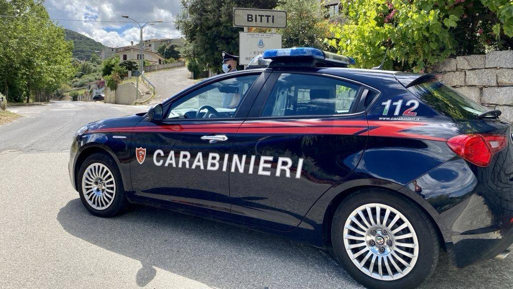 Allevamenti di pecore Igp fuori norma: sanzionate diverse aziende