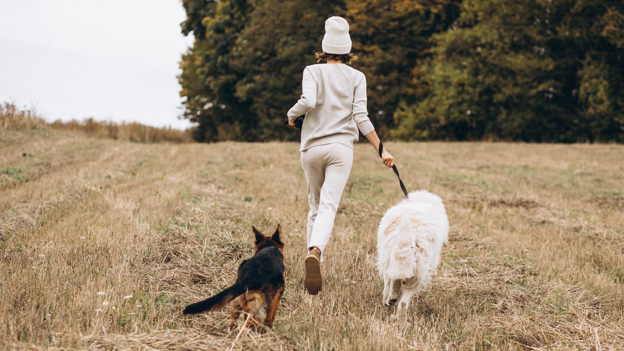 (foto di repertorio)