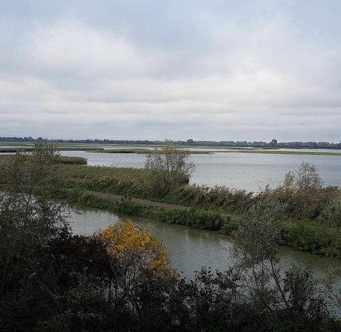 Argenta, oltre 5 milioni per le Valli<br type="_moz" />
