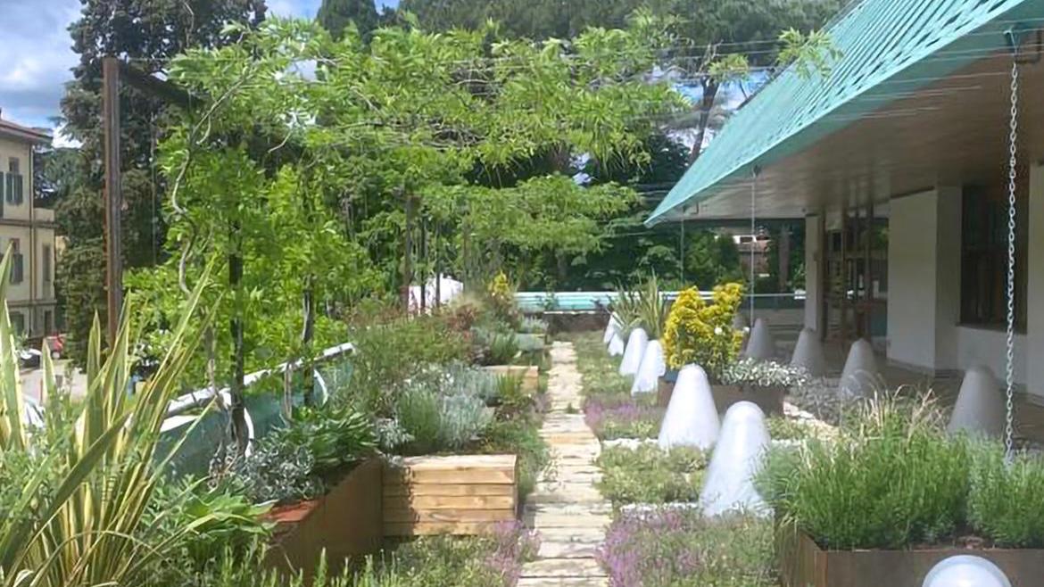 Natura, potere terapeutico al servizio della società