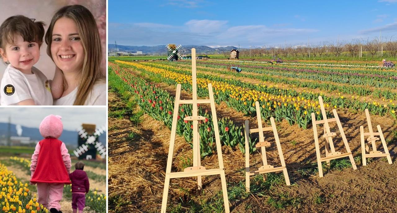 Un campo con 30mila tulipani è nato a Castelnuovo: «Un regalo per mia figlia Sofia»
