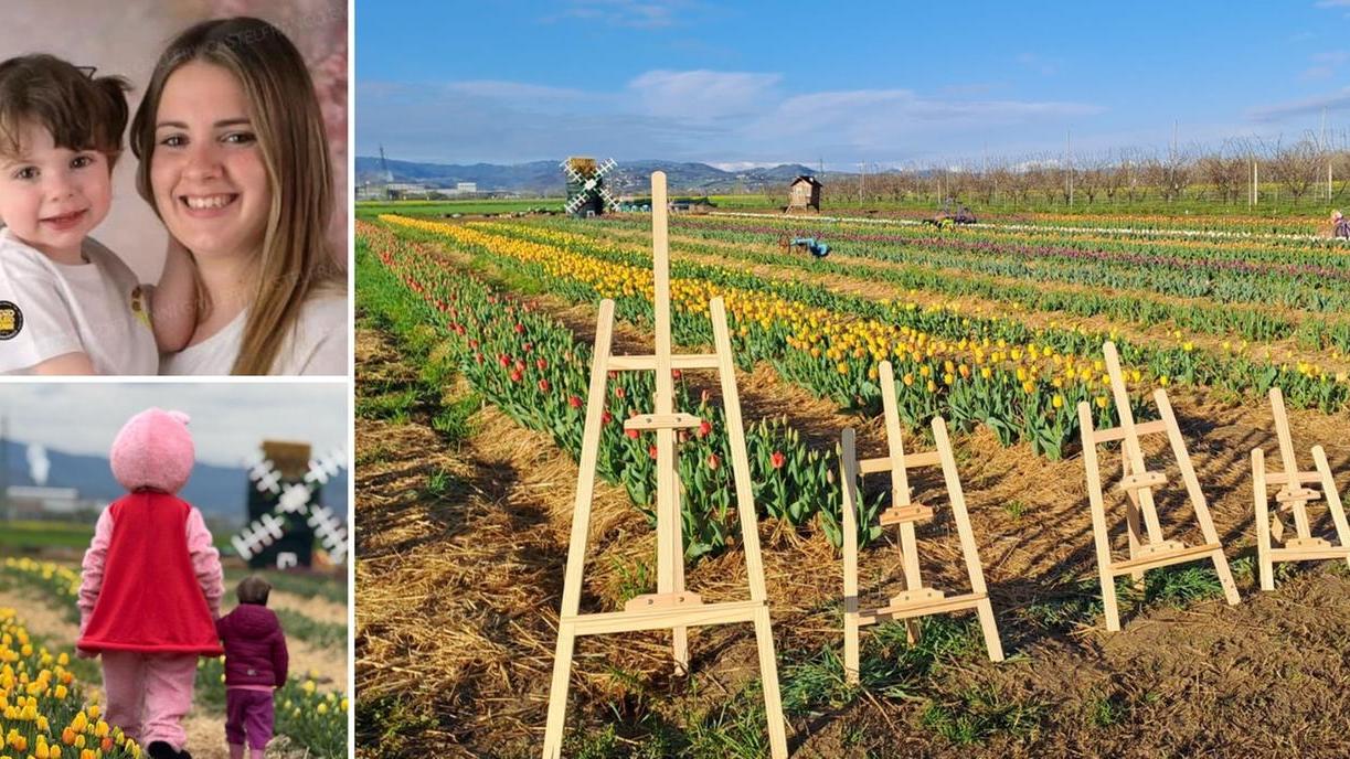 Un campo con 30mila tulipani è nato a Castelnuovo: «Un regalo per mia figlia Sofia»